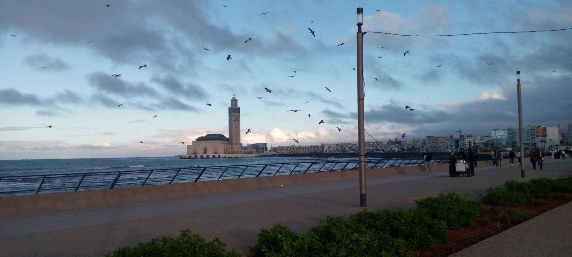 Moroccan Teguemi Casablanca Bagian luar foto